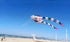 Free Shipping new kites pendant kites shows flying fish kites windsocks Inflatables kites octopus kites trilobites kites factory