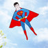 free shipping cartoon kites flying toys for children kites line outdoor kites professional wind kites factory weifang kites koi
