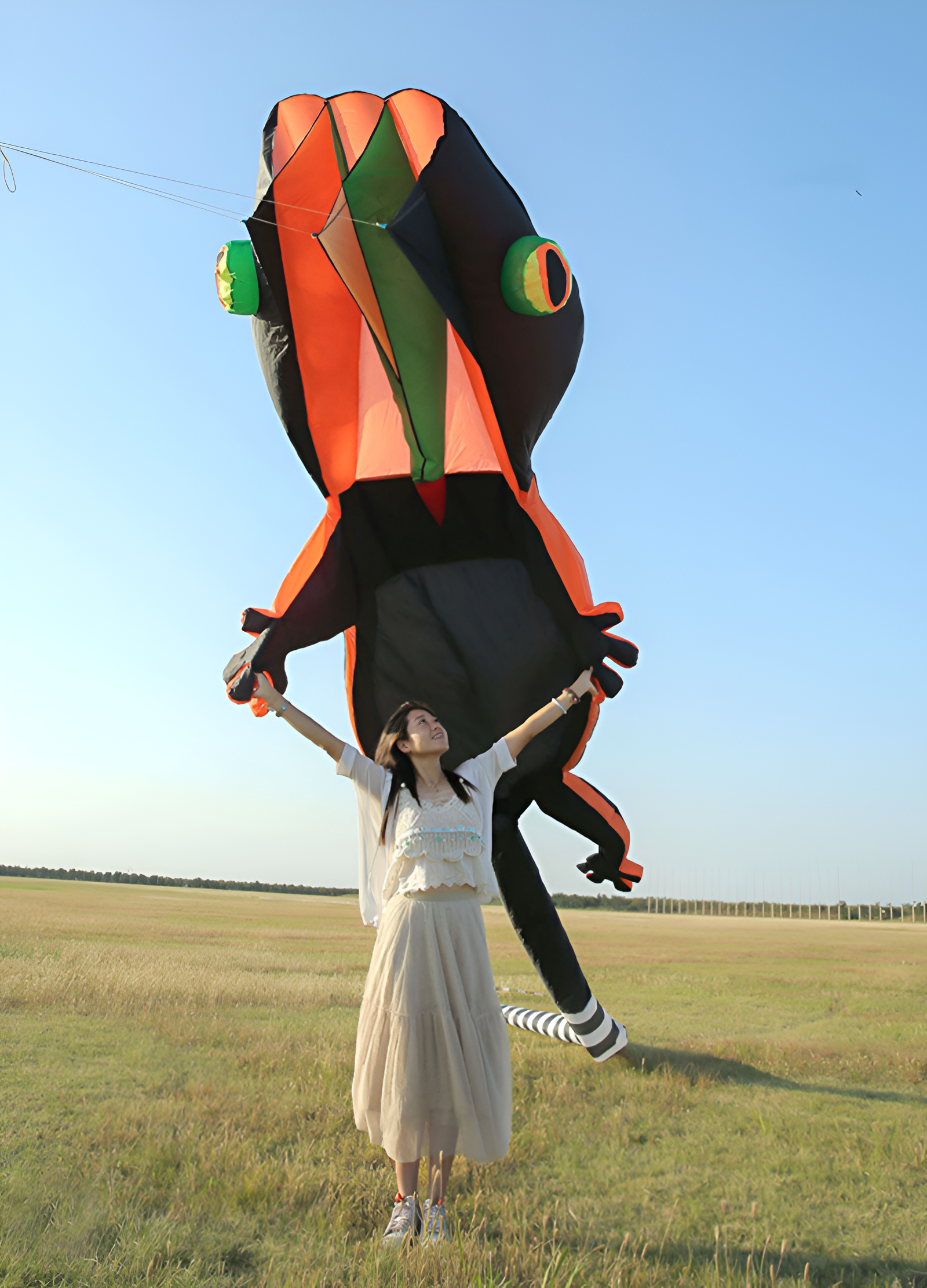 free shipping large soft kite 14m gecko kite line animated kites flying bird inflatable kite Outdoor game profession kite eaglas