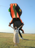 free shipping 14m gecko kites flying professional wind kites soft kites parachute giant kites for adults kites reel kite surf