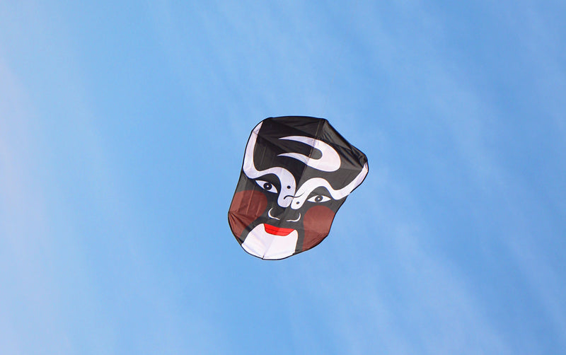 free shipping peking opera kites flying for adults kites traditioal kites line dragon kites parachute kites hexagonal kites