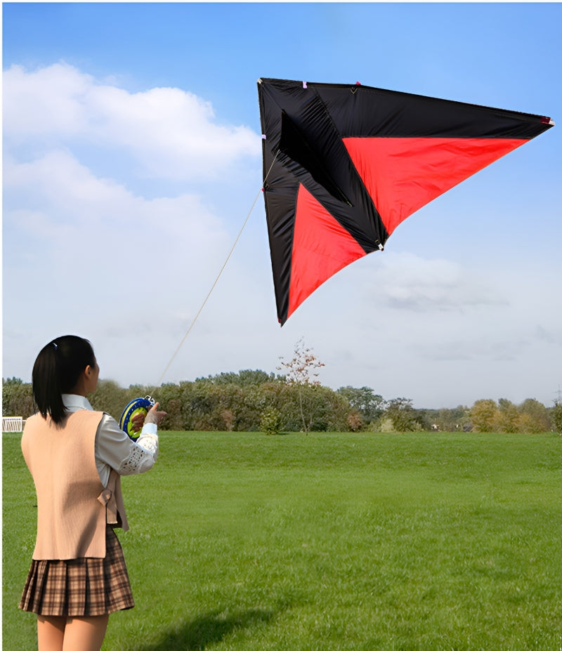 Diy Kite real parachute delta kite breeze kite for adults kites kevlar line paraglider ripstop nylon kites factory ikite