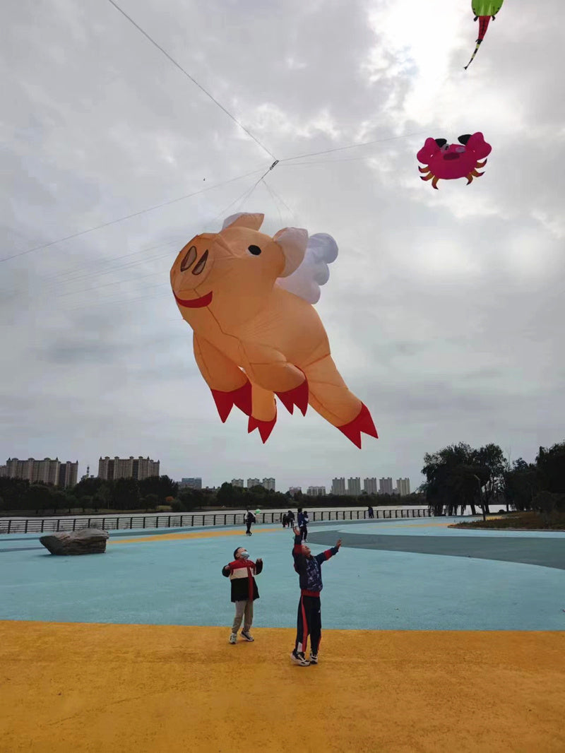 Free Shipping inflatable kites show giant kite pendant pig kites flying toys for adults kites reel large outdoor games soft kite