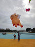 Free Shipping inflatable kites show giant kite pendant pig kites flying toys for adults kites reel large outdoor games soft kite