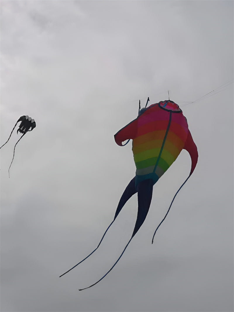 free shipping sea monster kite flying outdoor fun toys fish kites buggy kite board hobbies kite fabric giant kites kevlar line