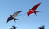 free shipping 2pcs/lot pole swallow kite flying traditional kites for adults kite line dragon kite factory ikite air snakes kite