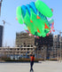 free shipping frog kite flying soft kite for adults kite line windsurf outdoor toys inflatable kite professional kite reel koi