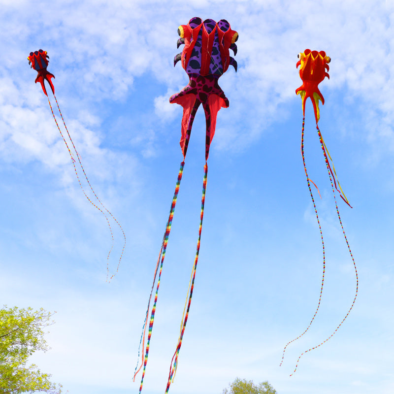 New 3D Boneless Kite for Big Goldfish Adults is a Large High End Three Dimensional Soft Kite That Is Easy to Fly