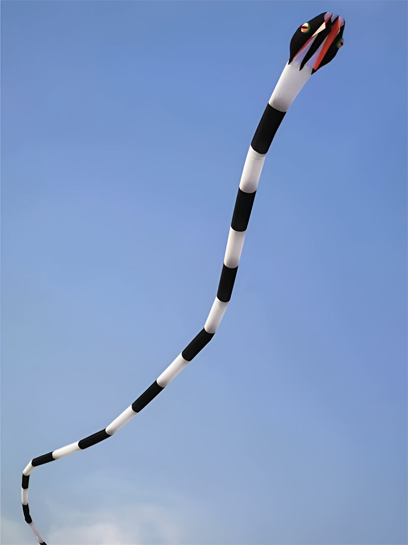 Free shipping professional kites snake soft kites for adults kite flying steering kites inflatable kite show huge kite bird big