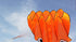 free shipping children kite flying toys octopus kite inflatable kites factory walk in sky outdoor fun ikite professional winds