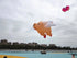 Free Shipping inflatable kites show giant kite pendant pig kites flying toys for adults kites reel large outdoor games soft kite