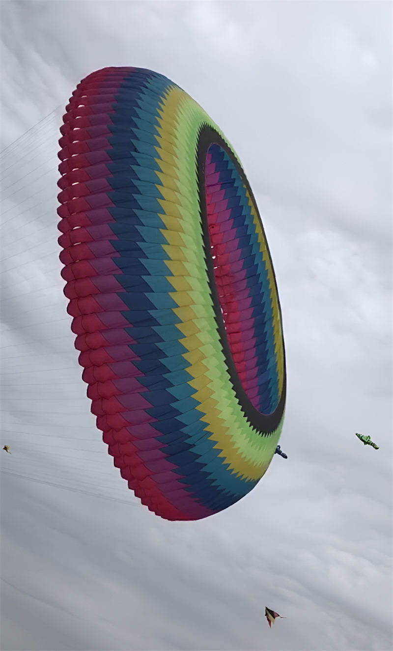 free shipping large kite ring flying windsocks kites factory kite accessories octopus kite parachute dragon line winds kites