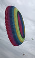 free shipping large kite ring flying windsocks kites factory kite accessories octopus kite parachute dragon line winds kites