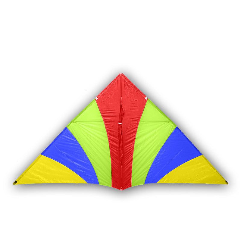 Diy Kite real parachute delta kite breeze kite for adults kites kevlar line paraglider ripstop nylon kites factory ikite