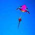 free shipping 3d kites windsocks Prick ball kites flying toys for kids kite large kite tails rainbow kite professional wind kite