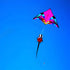 free shipping giant kites tails 3d kites windsocks kites flying for kids kites pendant octopus kites adults kites professional