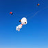 Free Shipping 3.5m Dog Kite Line Laundry Pendant Soft Inflatable Show Kite for Kite Festival 30D Ripstop Nylon with Bag