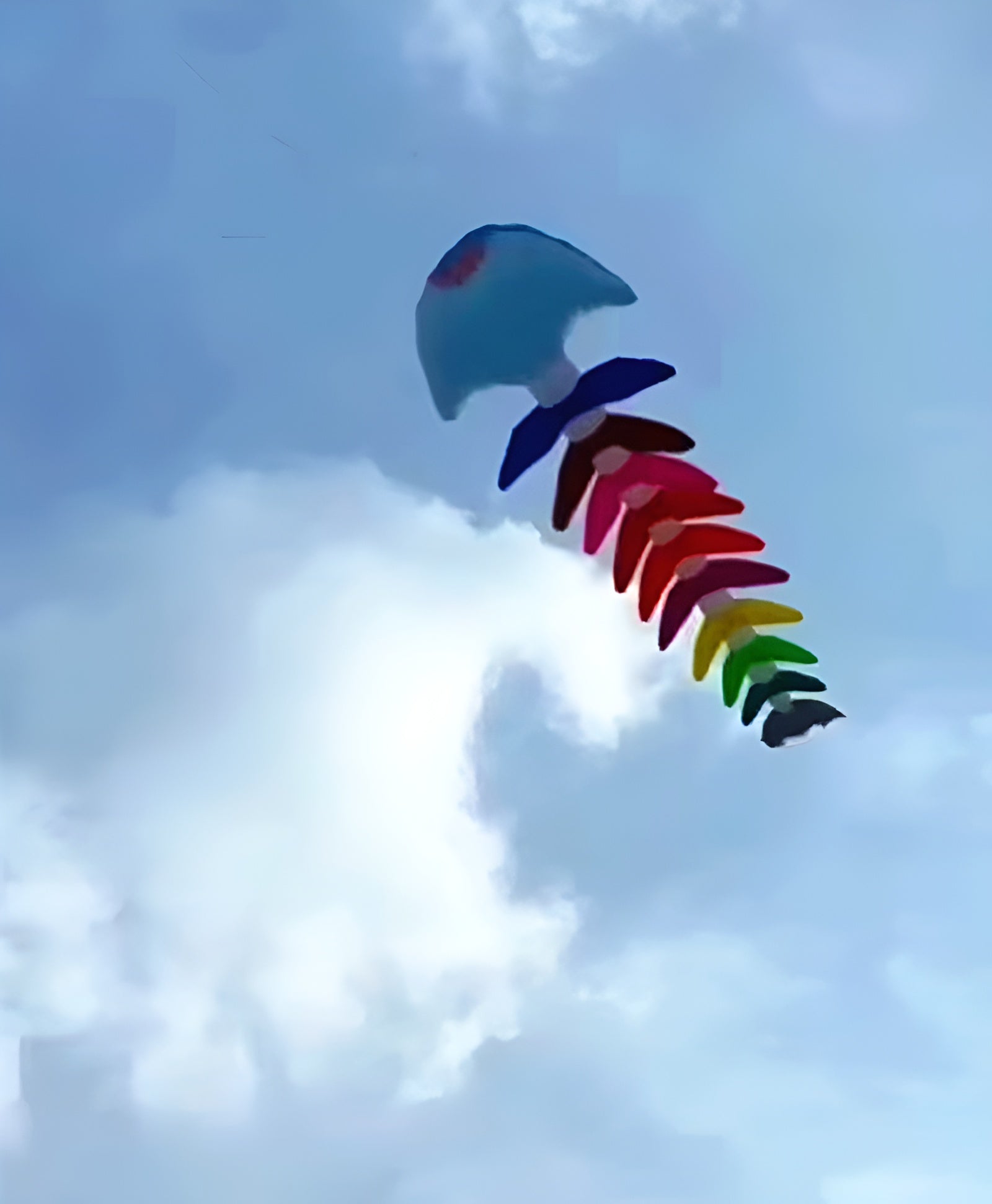 Free shipping fishbone soft kites pendant flying fish kites for adults inflatable show kites cometas de viento wind sock