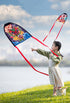 Free Shipping Ejector toys outdoor toys flying kites for children parplan inflatable toys show kites wind sock kiteboard fun