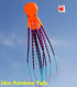 free shipping 26m big kite octopus kite pendant inflatable kite for adults kite buggy kitesurf board weifang kite factory toys