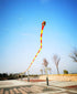 Free shipping professional kites snake soft kites for adults kite flying steering kites inflatable kite show huge kite bird big