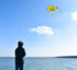 free shipping fish kite flying outdoor game toys for kids ripstop nylon kite fabric children kite for adults kite bird eagle fly