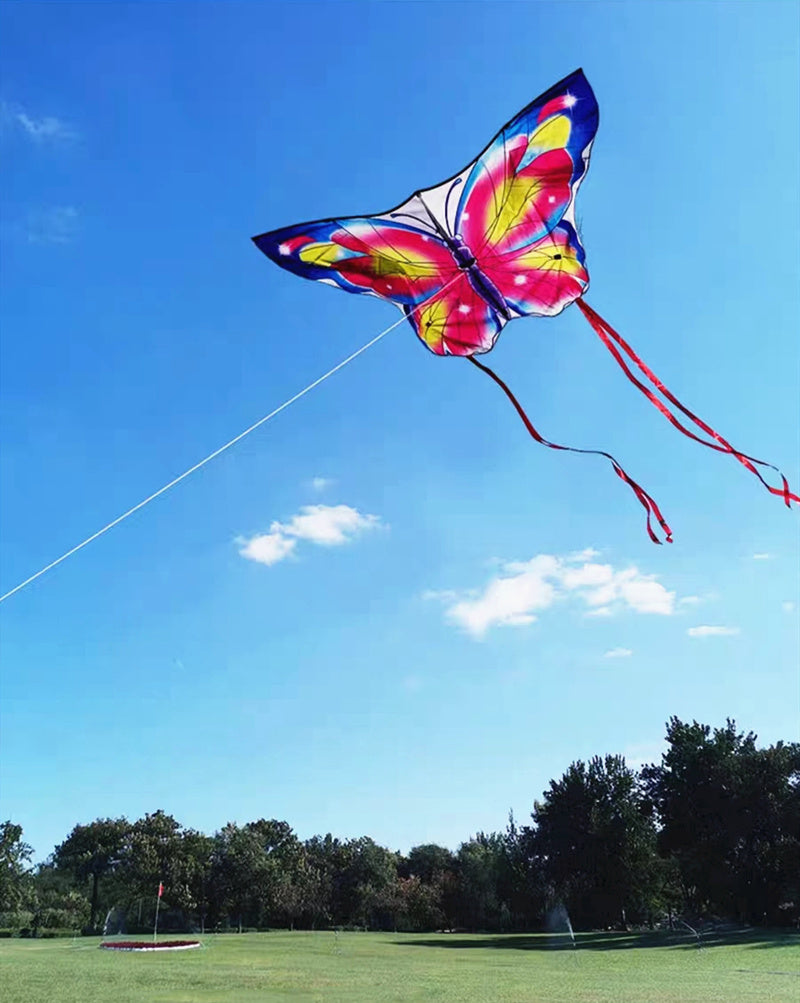 free shipping butterfly kites flying for kids kites nylon kites factory professional winds kites recreational reel flying fairy