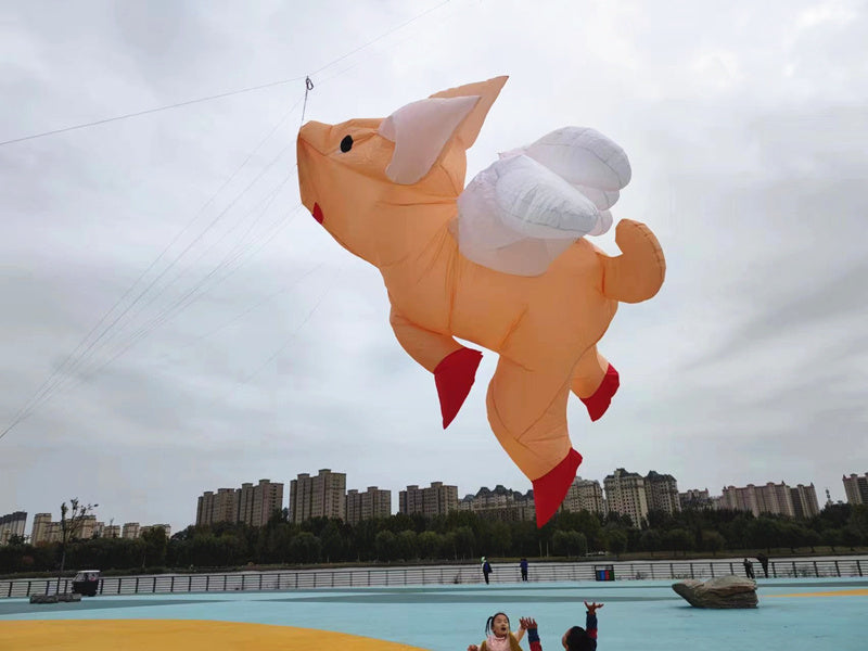Free Shipping inflatable kites show giant kite pendant pig kites flying toys for adults kites reel large outdoor games soft kite