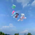 Free Shipping giant kites flying inflatable kites dog kite pendant soft kite 3d kites cometa espantapajaros de aves kitesurf