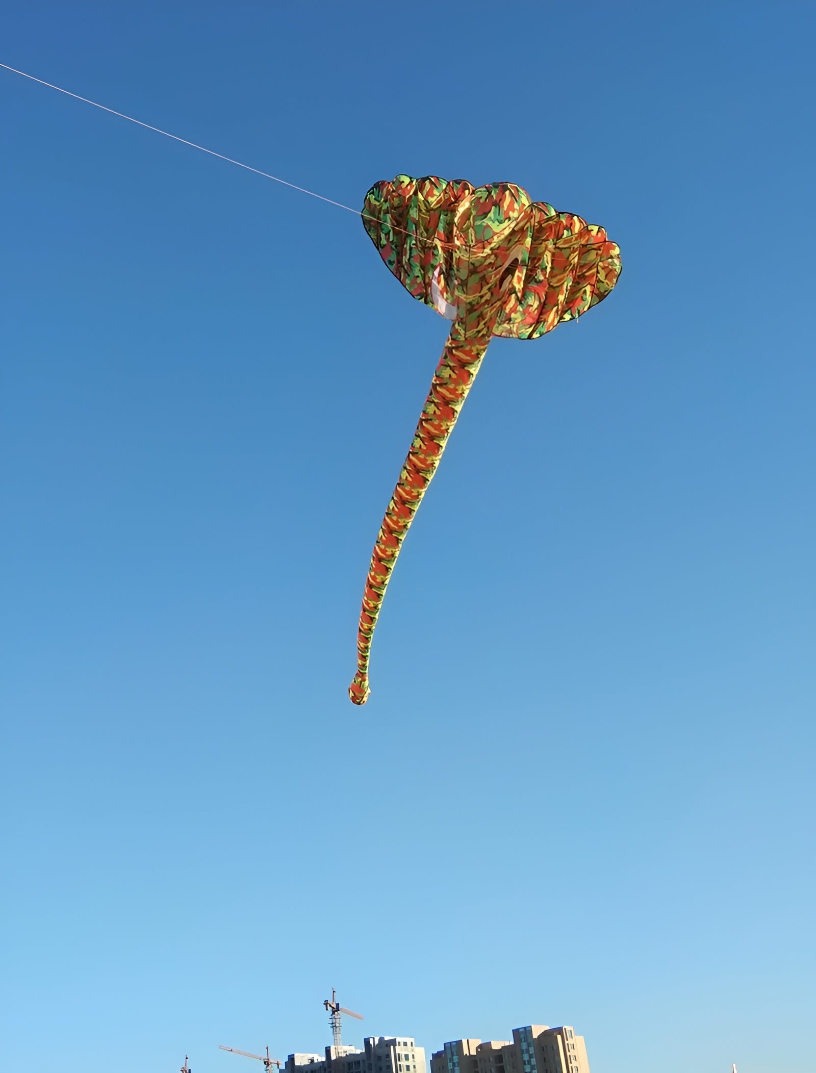 free shipping elephant kite flying toys for kids kitesurf equipment whale kite flying parrot dual line kite winding machine