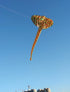 free shipping elephant kite flying toys for kids kitesurf equipment whale kite flying parrot dual line kite winding machine