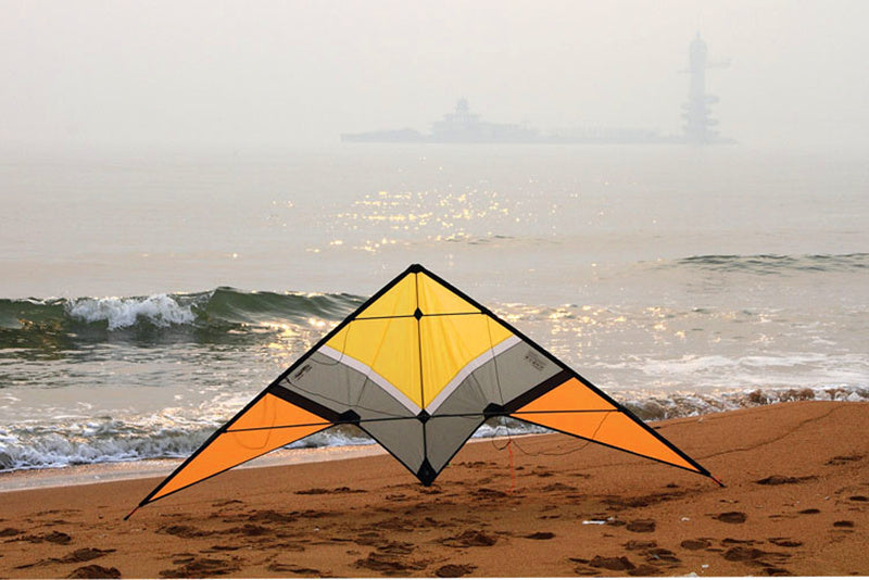 free shipping 250cm dual line stunt kite loudy large pull Freilein sweetbomb kite parachute kite factory outdoor koi paraglider