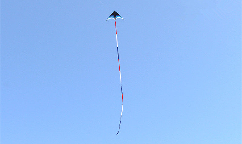 free shipping delta kites 6m tails flying toys for children kites fabric ripstop nylon outdoor sports beach kites factory ikite