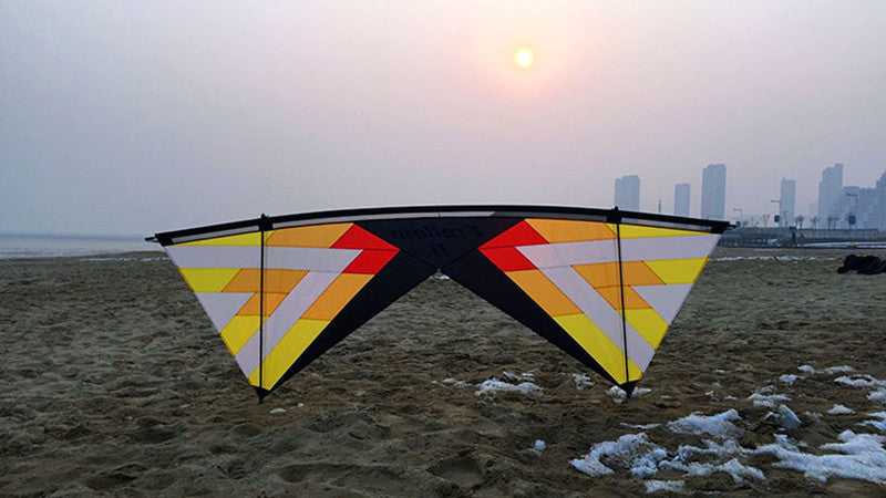 free shipping Windrider II quad line stunt kite adults kites real parachute fabric Freilein kite factory outdoor koi paraglider