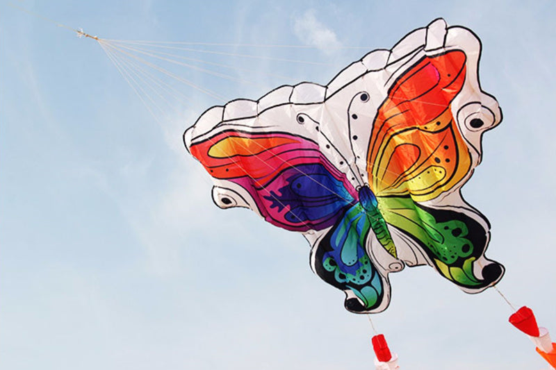 free shipping new kites flying butterfly kites nylon kites factory professional winds kites reel delta wing to fly kite handle