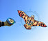 free shipping firebird kite flying children eagle kite toys nylon kites birds kites parachute indonesia line for kite paracaida