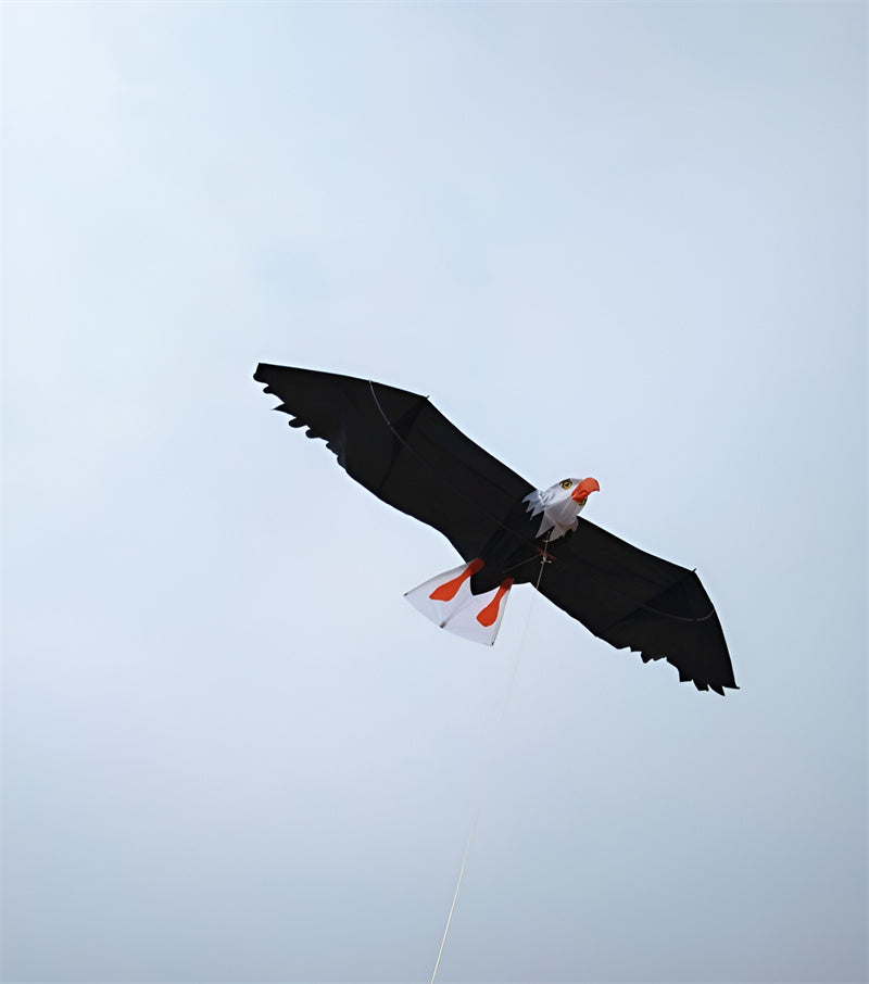 free shipping white eagle kite handle line kite surf for adults 3d kites kids flying toys windsocks bird kites sutherland sharks