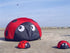 free shipping ladybird kite soft kites for kids can walk not flying ripstop nylon outdoor game toys weifang kites factory bat