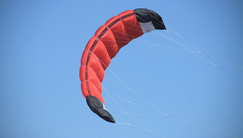 Free Shipping quad line power kites for adults kites inflatable show kites colorful flying kites windsurf power kite cerf