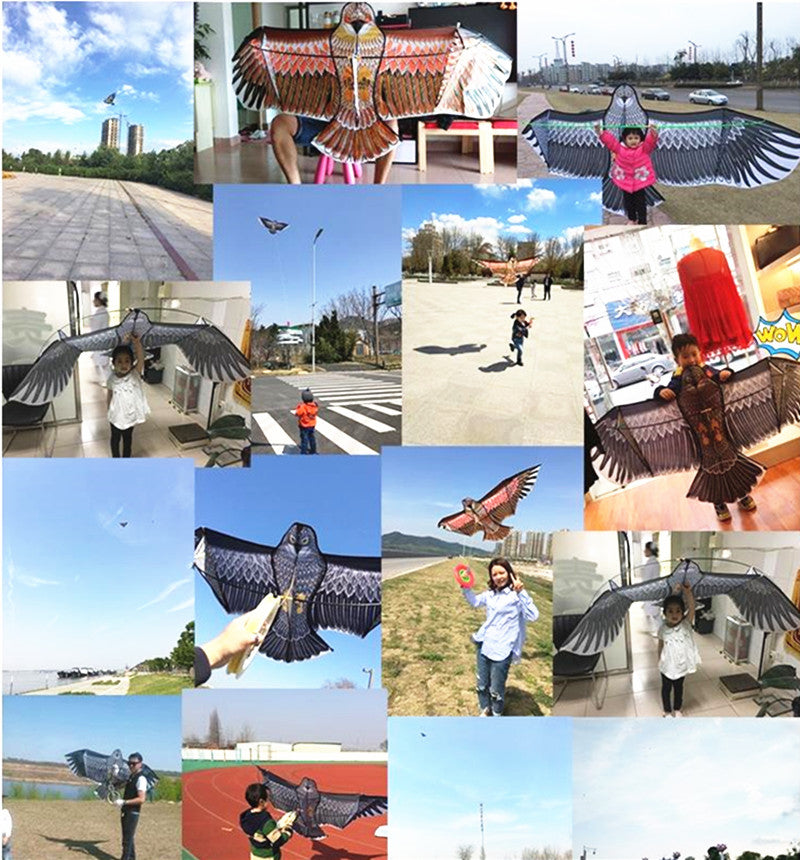 free shipping 10pcs/lot eagle kite wholesale factory weifang kite ripstop nylon fabric flying bird kites for adults professional