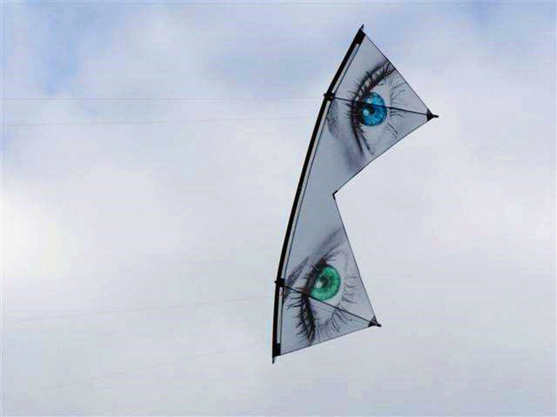 Free Shipping quad line stunt kites flying for adults outdoor toys professional kite Power kite acrobatic comet tent pole wind