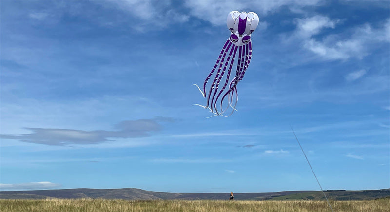Free Shipping 12m~18m Giant Octopus Kite 3D Huge Single Line Soft Inflatable Kite Festival Show Kite 30D Ripstop Nylon Fabric with Bag