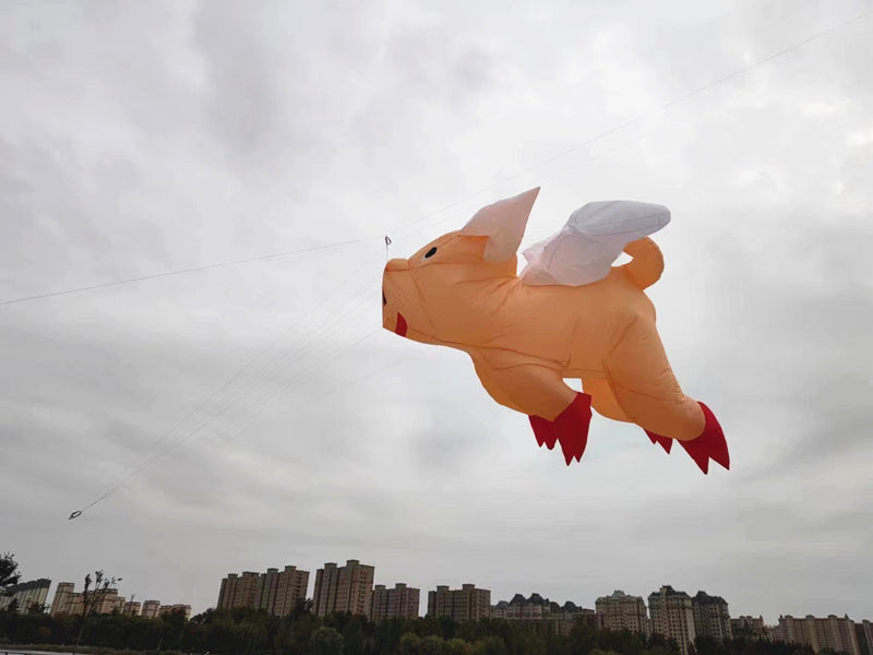 Free Shipping inflatable kites show giant kite pendant pig kites flying toys for adults kites reel large outdoor games soft kite