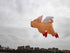 Free Shipping inflatable kites show giant kite pendant pig kites flying toys for adults kites reel large outdoor games soft kite