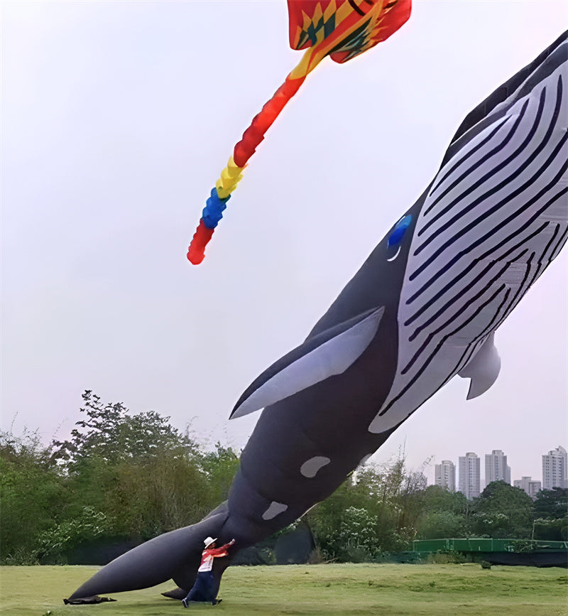 free shipping 20m whale kite pendant giant kite flying shark kite nylon fabric professional kite factory weifang kaixuan kites