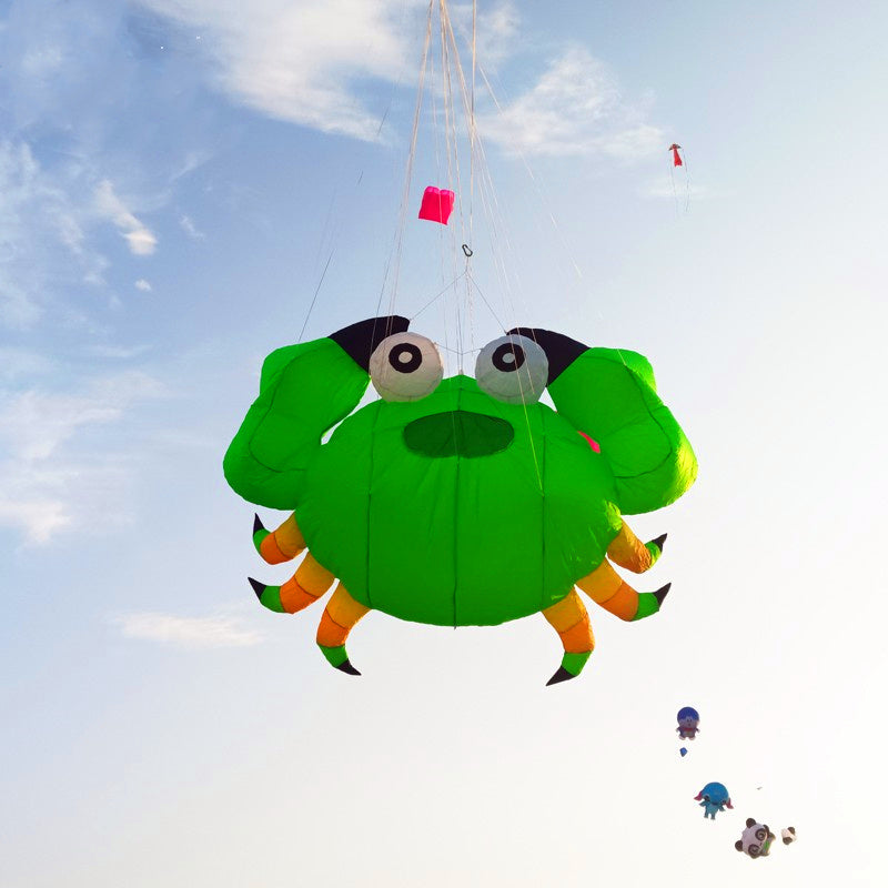 Free shipping soft kites pendant flying show kites crab kites inflatable kites factory airplane kite inflatable show kites