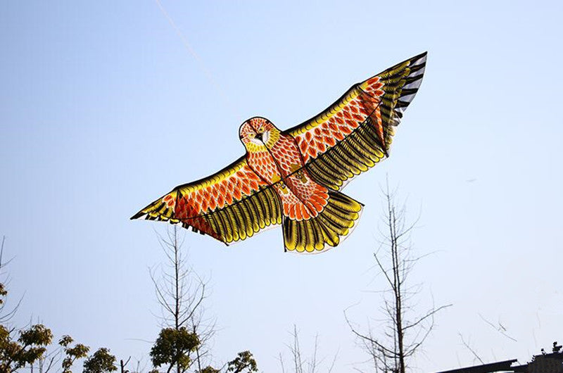 free shipping 10pcs/lot eagle kite wholesale factory weifang kite ripstop nylon fabric flying bird kites for adults professional
