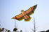 free shipping 10pcs/lot eagle kite wholesale factory weifang kite ripstop nylon fabric flying bird kites for adults professional
