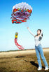 free shipping lucky lion kite flying soft kite for adults kites line traditional kite professional kite inflatable factory koi