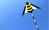 free shipping large delta kite flying nylon kite reel parachute cerf volant kevlar line eagle kiteboard kites for adults kites